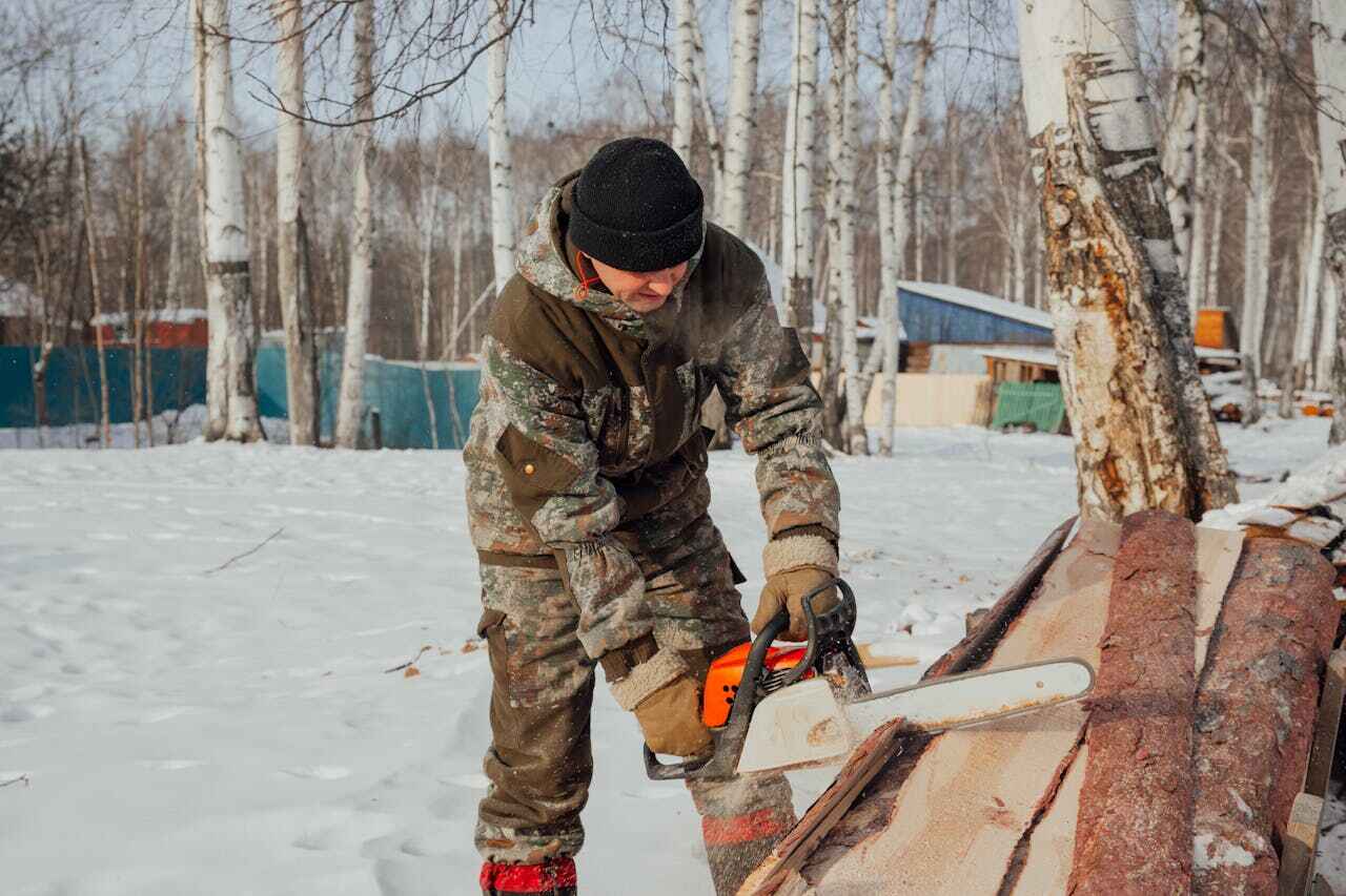 Best Dead Tree Removal  in Macon, MO